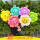 10个蜜蜂雏菊系列夹片气球