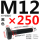 M12*250mm