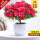 大号红色+花瓣瓷盆（28-35cm）