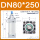 DN80*250