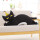 黑猫夹腿猫长约50厘米