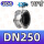 304材质 DN250