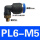 PL6-M5(100只)