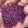 紫薯米  1 斤