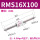 RMS16-100