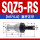 SQZ6-RS直头正牙(M6*1.0)