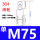 M75(单)(1个)