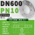 304DN600-PN10镍6