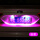 09-18款科鲁兹 牌照灯（2个灯泡）粉紫