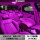06-11款速腾 阅读灯(6个灯)粉紫
