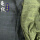 秋香绿龟纹x0.1米