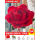 扭扭棒巨型花束大红玫瑰花材料