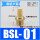 铜BSL01长头1/8