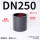 DN250（内径280mm）