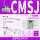 CMSJ（3件）