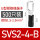 SVS24B