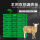 60x60-4.2斤羊用全双筋绿色