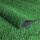 单色夏草（加密25mm厚）1平米