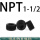 NPT1-1/2 (1个价格)