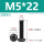 M5*22(20个)