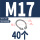 M17 (40个)304