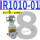 IR1010-01BG 8