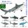 空心锤头鲨+A款6只小号海洋生物