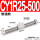 CY1R25-500