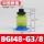 BGI48-G3/8