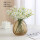 咖啡树叶花瓶+雏菊10支