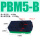 PBM5-B