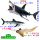 灰鲭鲨+斑马鲨+小大青鲨