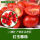 红玉番茄种子2袋