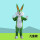 绿兔