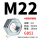 M22(100只)