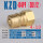 KZD 4-10 04PF ZG1/2 公头