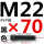 M22*70mm