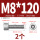 M8*120(2个)