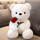 白色玫瑰花小熊坐高35厘米