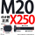 M20X250【45#钢T型】