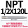 NPT1/2X120MM加长