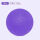 紫色圆形4.5