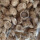 串钉子菇1斤+白草菇1斤
