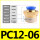 PC12-06