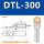 DTL-300(厂标)1只