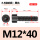 M12*40全(50支)