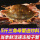 【三角母5斤】梭子蟹(约20~25只)