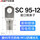 95-12（10只）