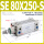 SE 80X250-S