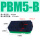 PBM5B